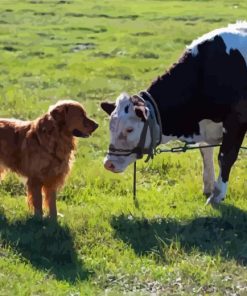 Dog And Cow Paint By Numbers