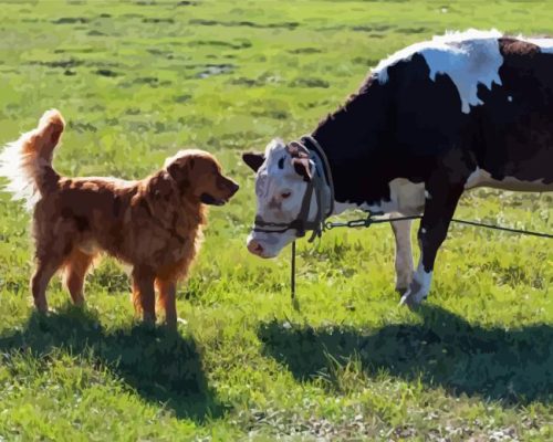 Dog And Cow Paint By Numbers