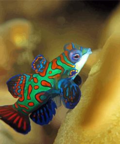 Mandarin Fish Paint By Numbers