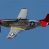 Mustang Plane Paint By Numbers