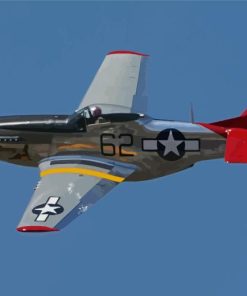 Mustang Plane Paint By Numbers