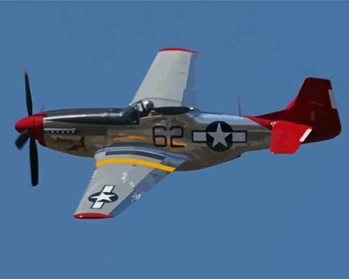 Mustang Plane Paint By Numbers