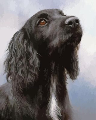 Black Spaniel Paint By Numbers