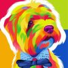 Colorful Maltese Pop Art Paint By Numbers