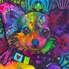 Colorful Papillon Dog Paint By Numbers