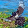 Eurasian Magpie Paint By Numbers