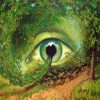 Eye In The Forest Paint By Numbers