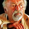 Poet Jim Harrison Paint By Numbers