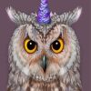 Owl Bird With Unicorn Horn Paint By Numbers