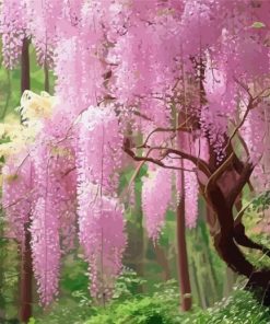 Pink Wisteria Tree Paint By Numbers