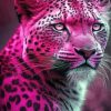 Pink Jaguar Animal Paint By Numbers